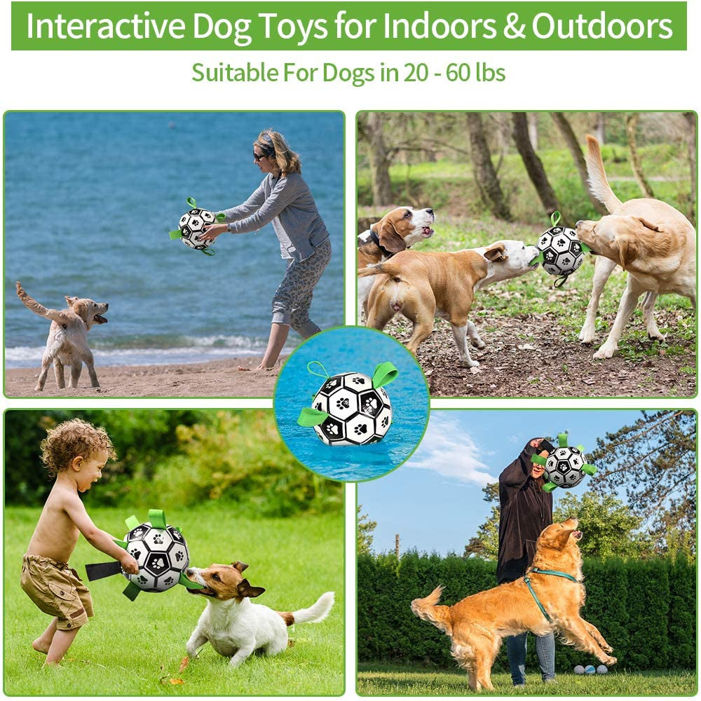 Interactive Pet Dog Football Toys with Grab Tabs