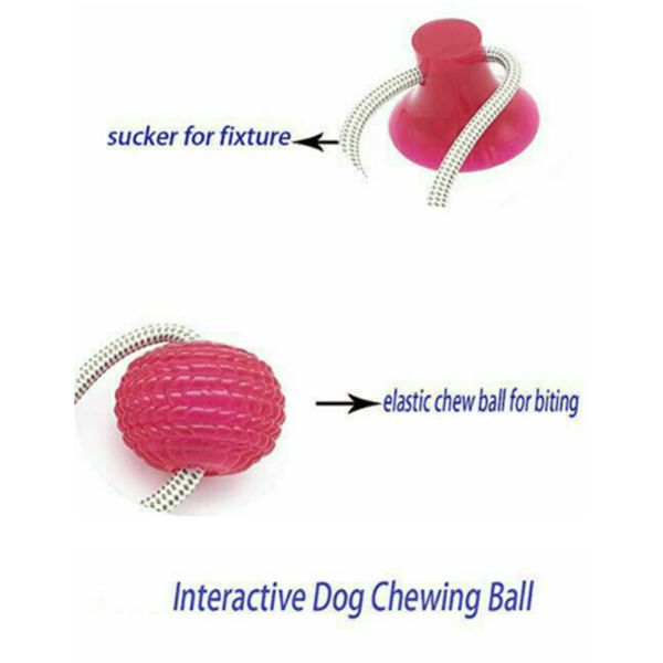 Dog Multifunction Pet Molar Bite Toy