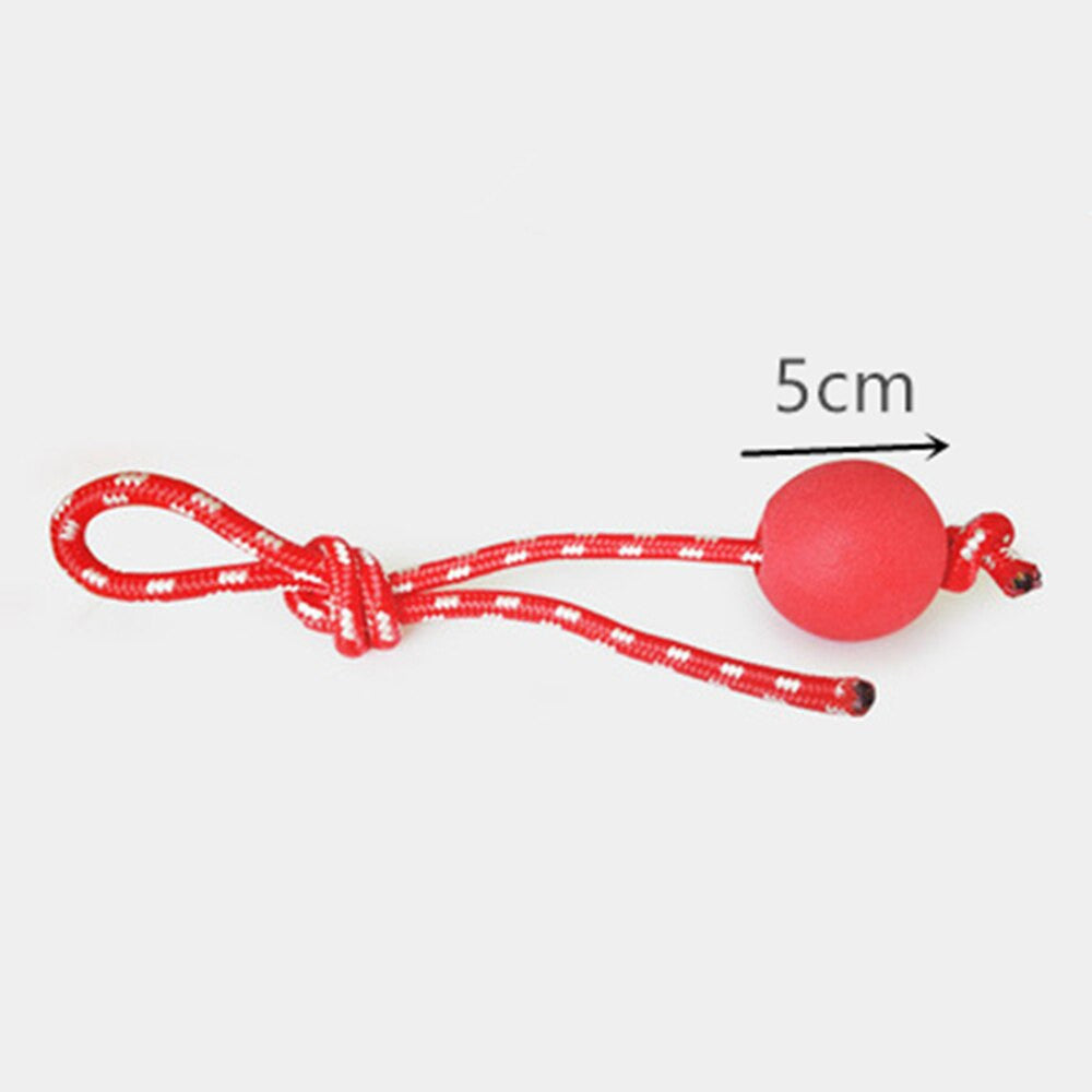 Dog Multifunction Pet Molar Bite Toy