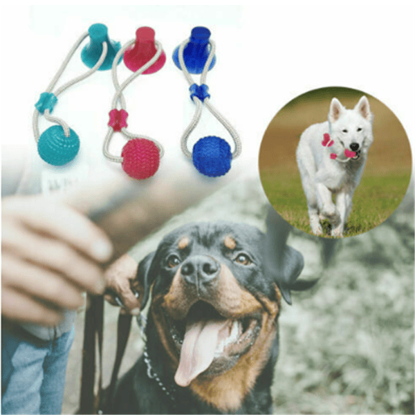 Dog Multifunction Pet Molar Bite Toy