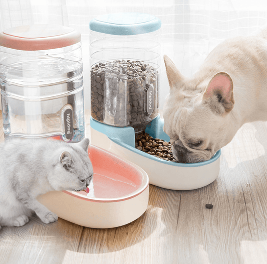 Pet Automatic Feeder Microphone with Drinking Fountain