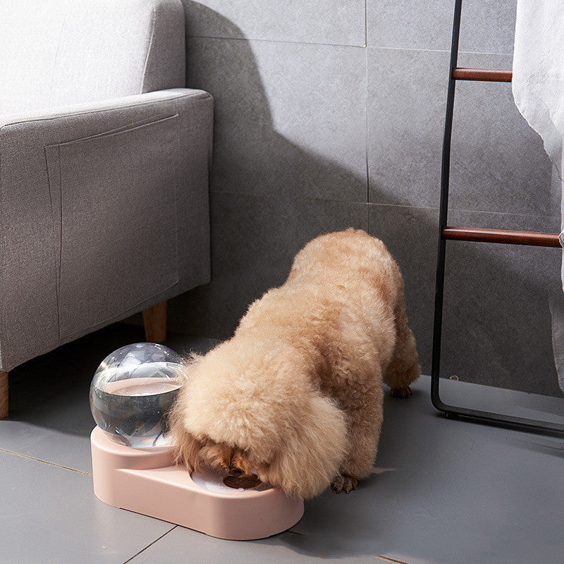 Automatic Pet Water Dispenser with Bowl