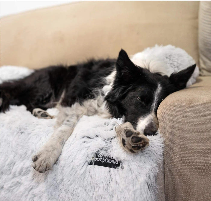 Pet Sofa and Bed Rest Cushion