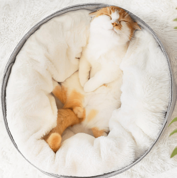 Pet Basket Plush Bed Reversible Cushion