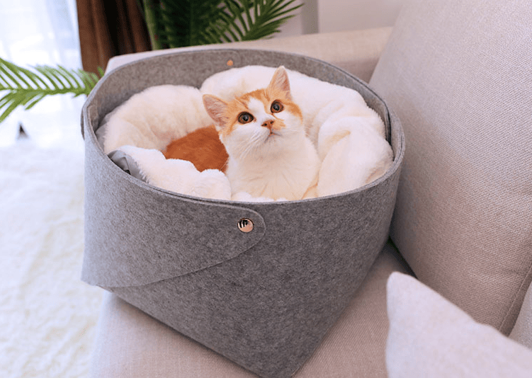 Pet Basket Plush Bed Reversible Cushion